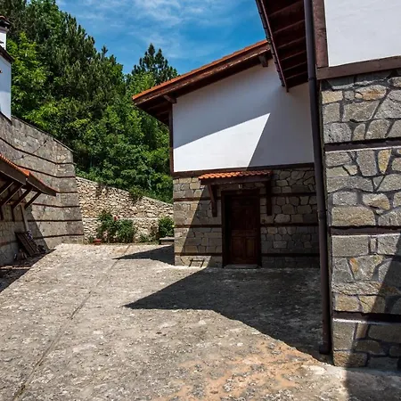 болярка * Kurdzhali